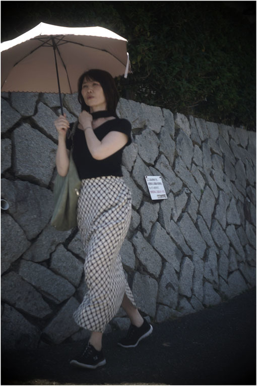 878 夢かうつつか(2020年6月7日パンタッカー50mmf2.3の奈良町ファンタジー)幻か?_c0168172_22024214.jpg