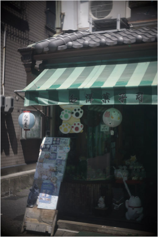 878 夢かうつつか(2020年6月7日パンタッカー50mmf2.3の奈良町ファンタジー)幻か?_c0168172_22025037.jpg