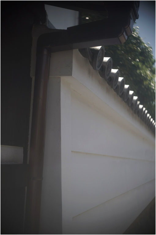 878 夢かうつつか(2020年6月7日パンタッカー50mmf2.3の奈良町ファンタジー)幻か?_c0168172_22083476.jpg