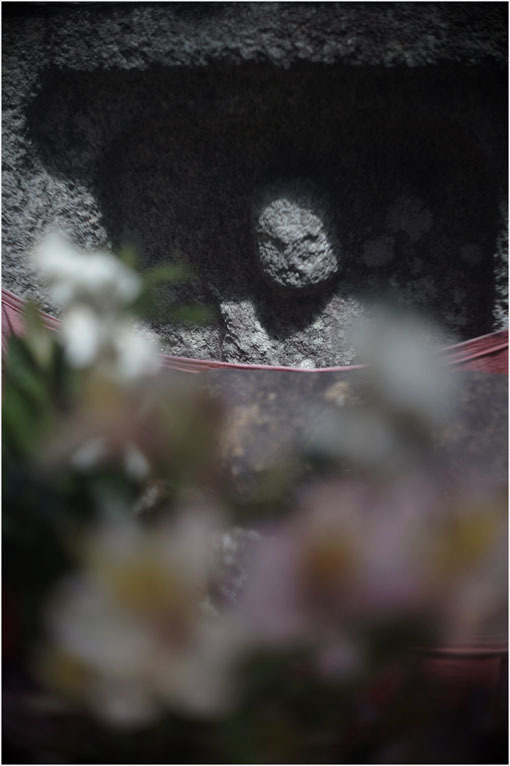 878 夢かうつつか(2020年6月7日パンタッカー50mmf2.3の奈良町ファンタジー)幻か?_c0168172_22100766.jpg