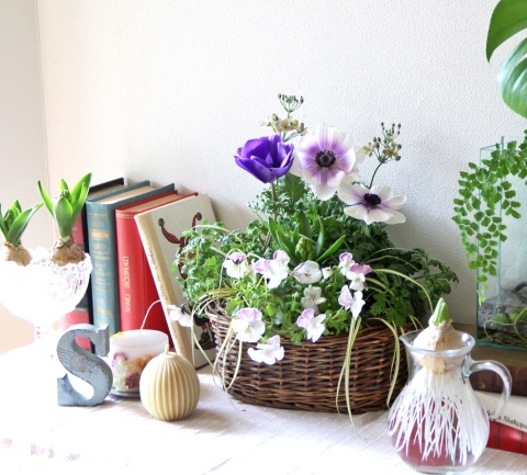 ハルメク連載 第24回 冬は 芽出し球根 の寄せ植えで春を先取り Soleilの庭あそび 布あそび