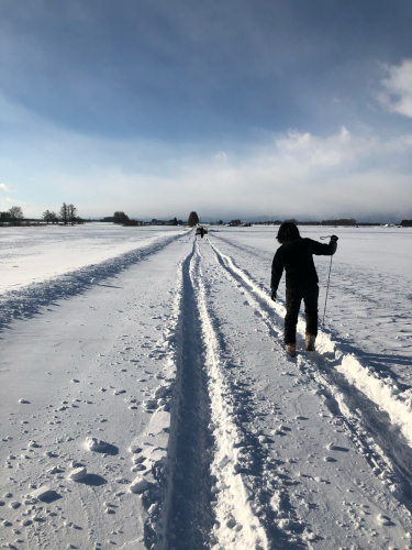 雪溜まり
