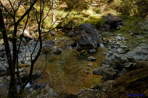 大台ケ原 ~シオカラ谷への道_e0366896_22193826.jpg