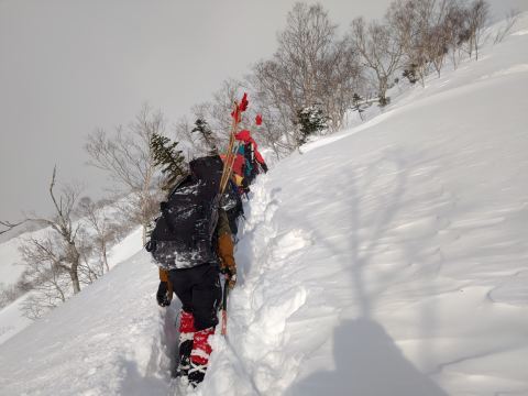 遠見尾根～再び～_d0237801_12480312.jpg