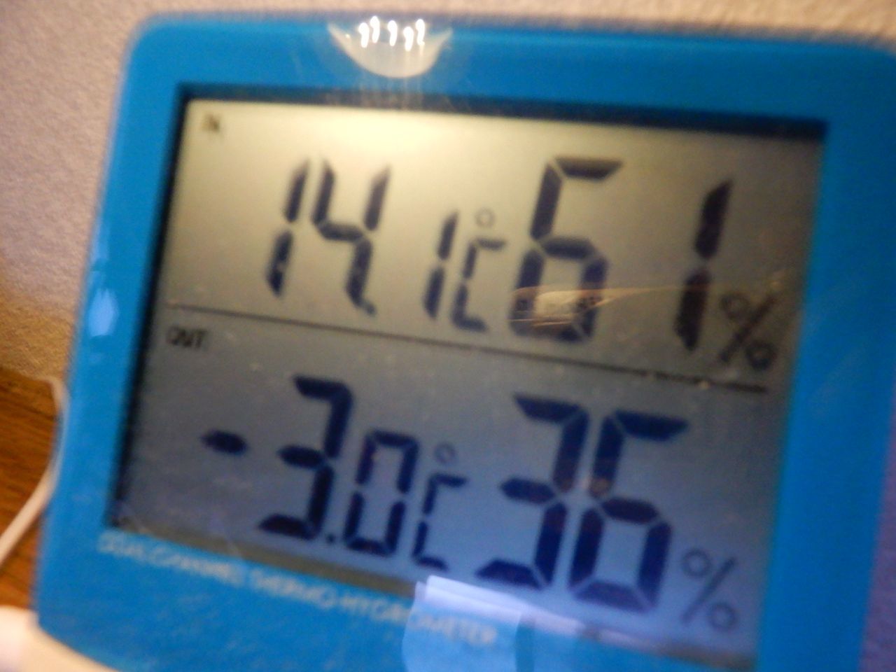 大寒の中の「春」_c0025115_21510762.jpg