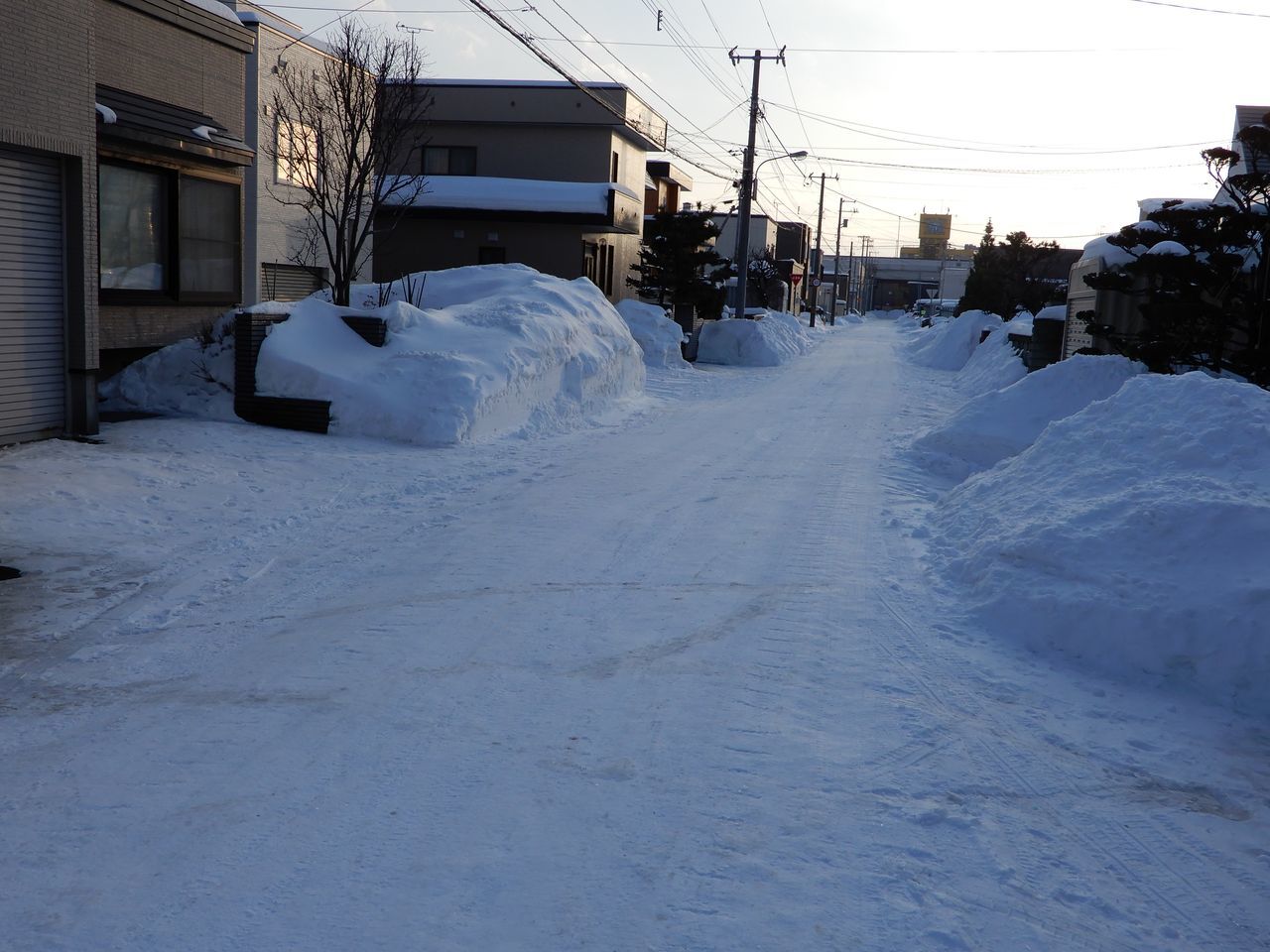 大寒の中の「春」_c0025115_21591774.jpg