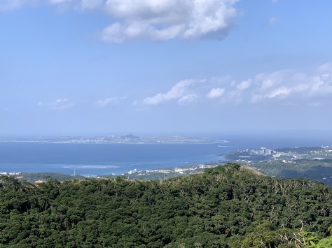 沖縄では桜祭りですが・・・_c0070933_09451272.jpg