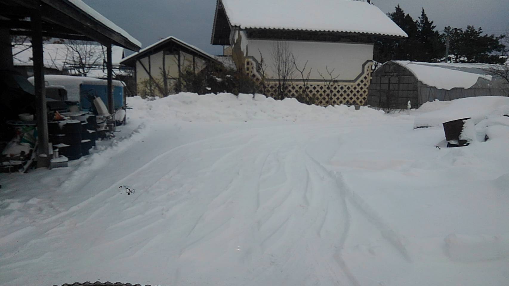 雪_c0154844_11342266.jpg