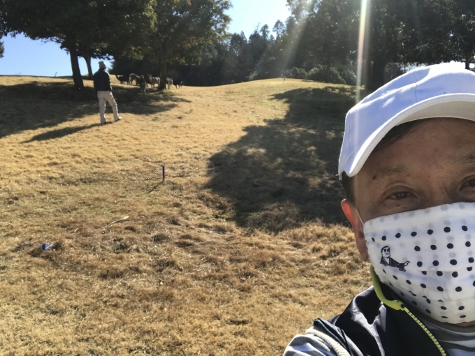 鹿が見守る双鈴ゴルフ土山コースでプレー_b0100062_08220683.jpeg