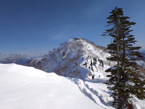 遠見尾根～再び～_d0237801_13395641.jpg