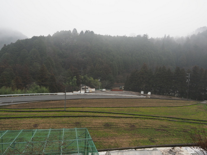 雨と霧の一日_c0116915_22102606.jpg
