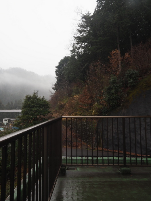 雨と霧の一日_c0116915_22104134.jpg