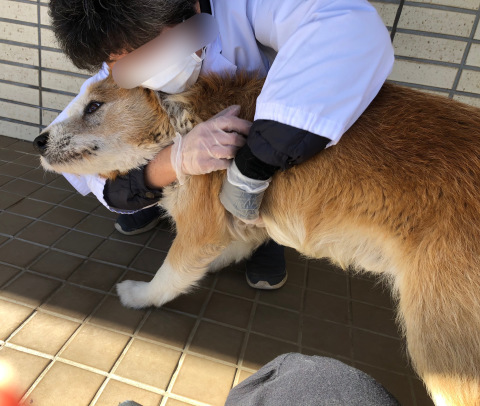 _f0078320_03540157.jpeg