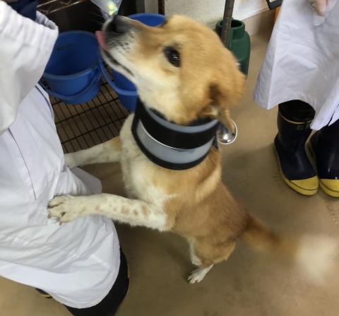 _f0078320_04033721.jpeg