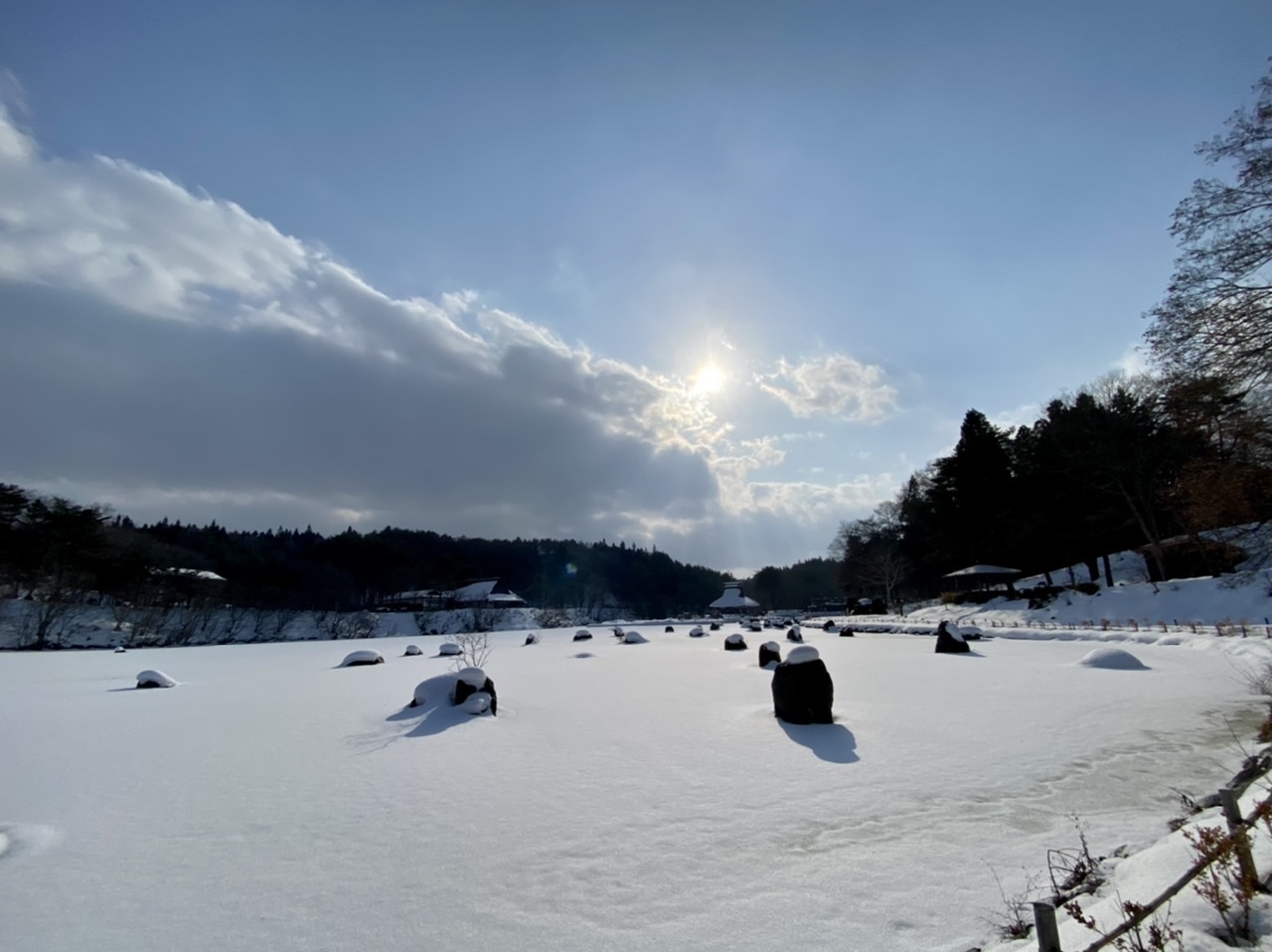 まゝに/1月の散策　雪中_d0342426_13372253.jpeg