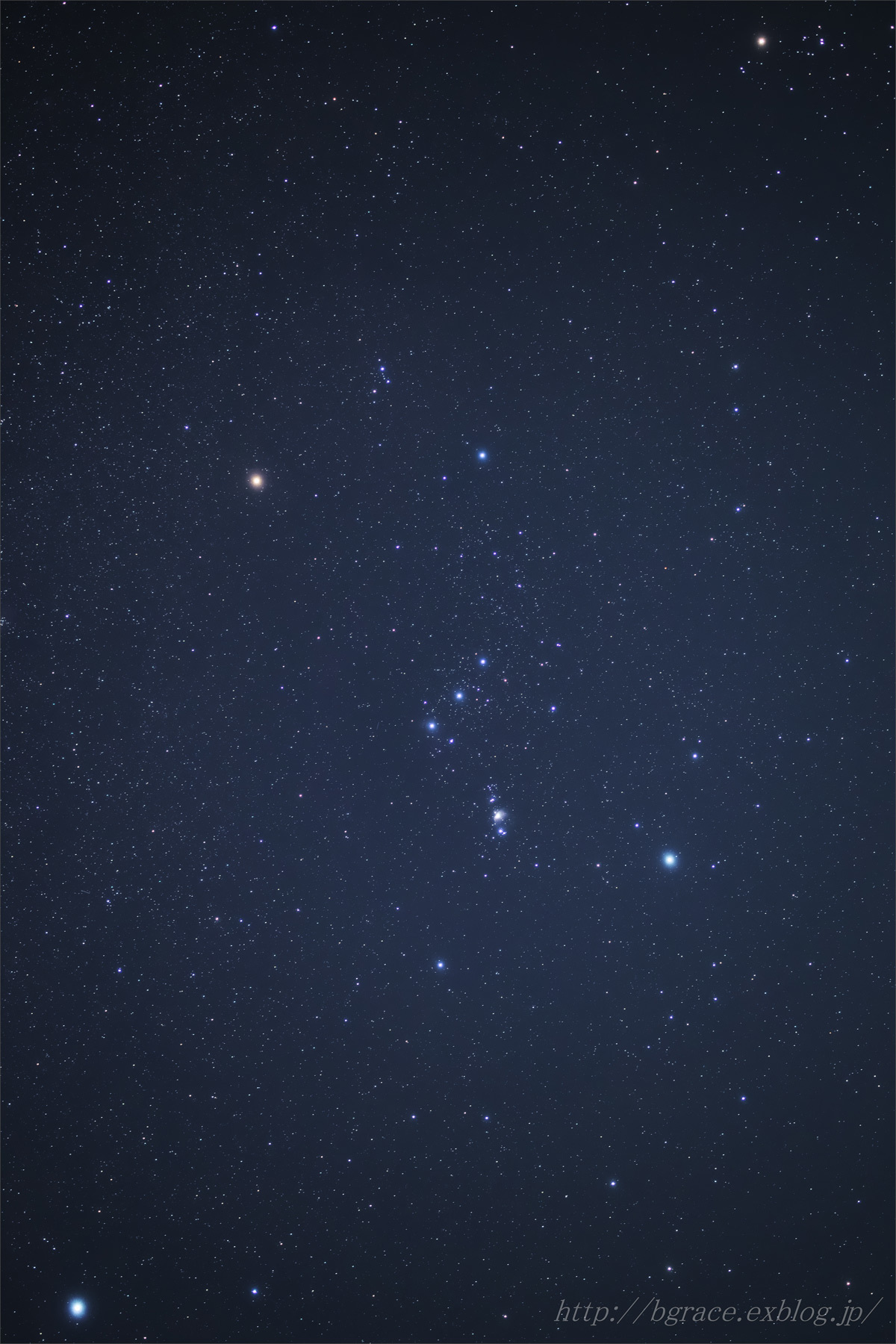 月夜の公園_b0191074_22165491.jpg