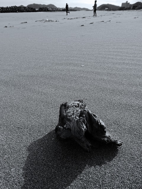 砂浜独り占め_d0110193_17481502.jpg