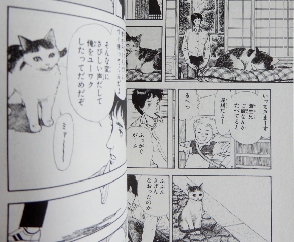 漫画ねこあつめ Cats In Manga ももさえずり 紀行編 Cent Chants De Chouette 漫画ねこあつめ Cats In Manga ももさえずり 紀行編 Cent Chants De Chouette