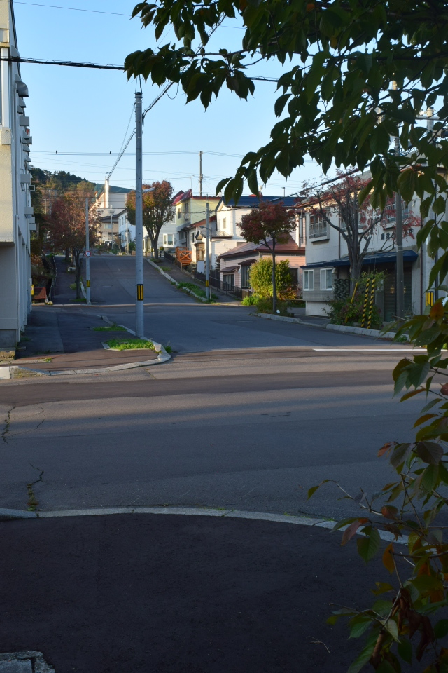 函館市弁天町の伴田米穀店(函館の建築再見2021)_f0142606_06542717.jpg