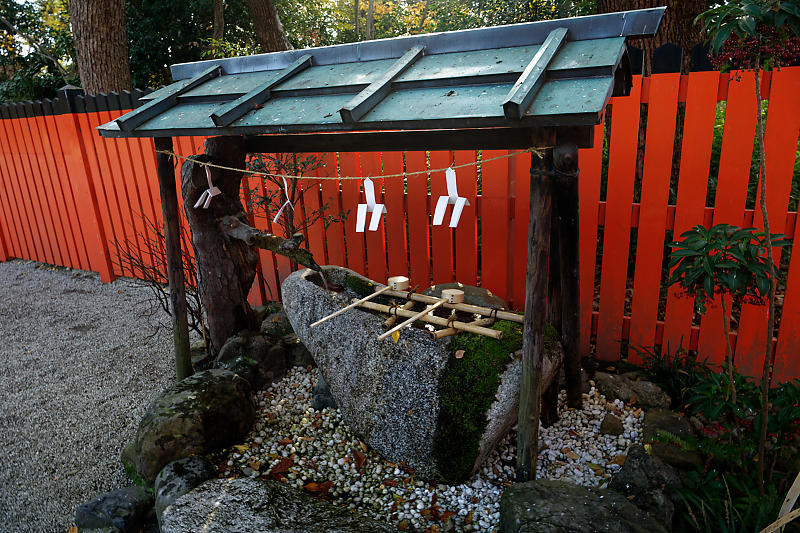 2020京都の紅葉・下鴨神社_f0032011_19315947.jpg