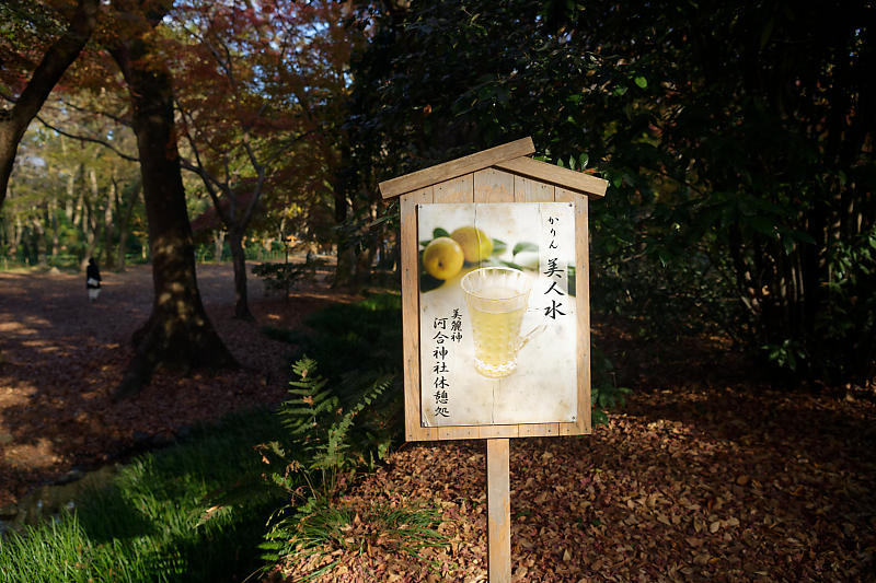 2020京都の紅葉・下鴨神社_f0032011_19320119.jpg