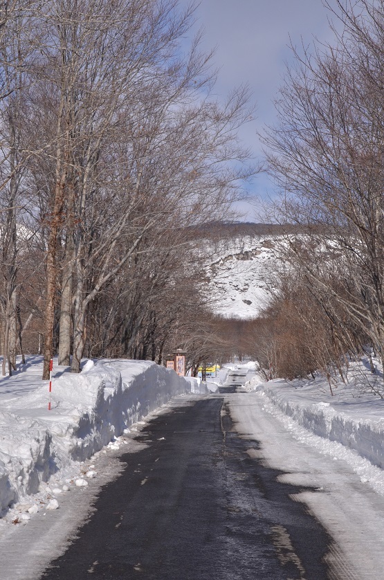 栗駒山麓雪景色_e0349817_20425923.jpg