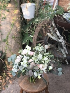 綺麗に撮れたのだけ抜粋_c0102228_20545307.jpeg