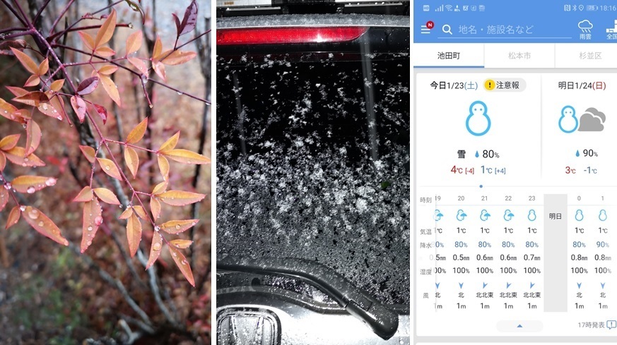 雨は雪に変わり_a0212730_20115267.jpg