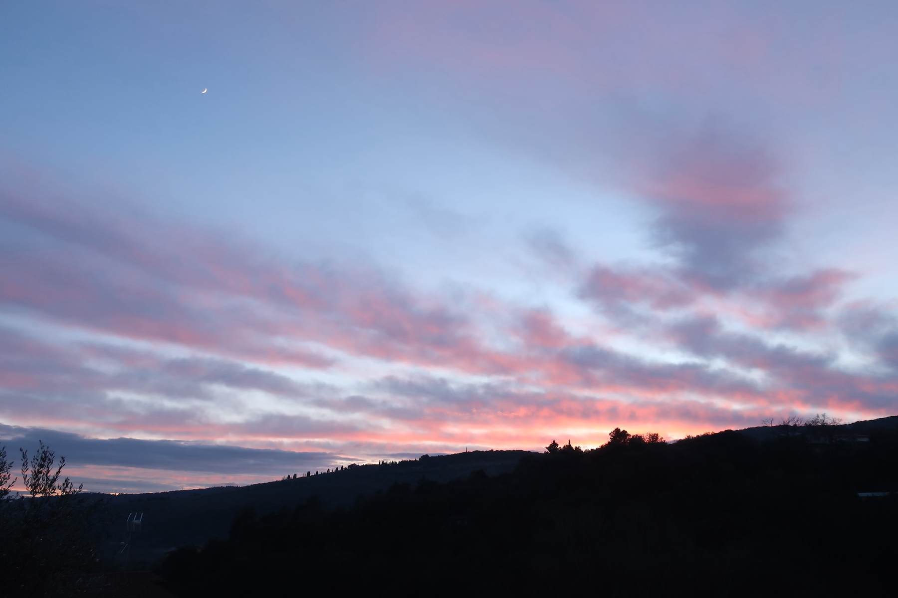 満ちる月夕どきの雲と咲きゆく蘭_f0234936_02164545.jpg