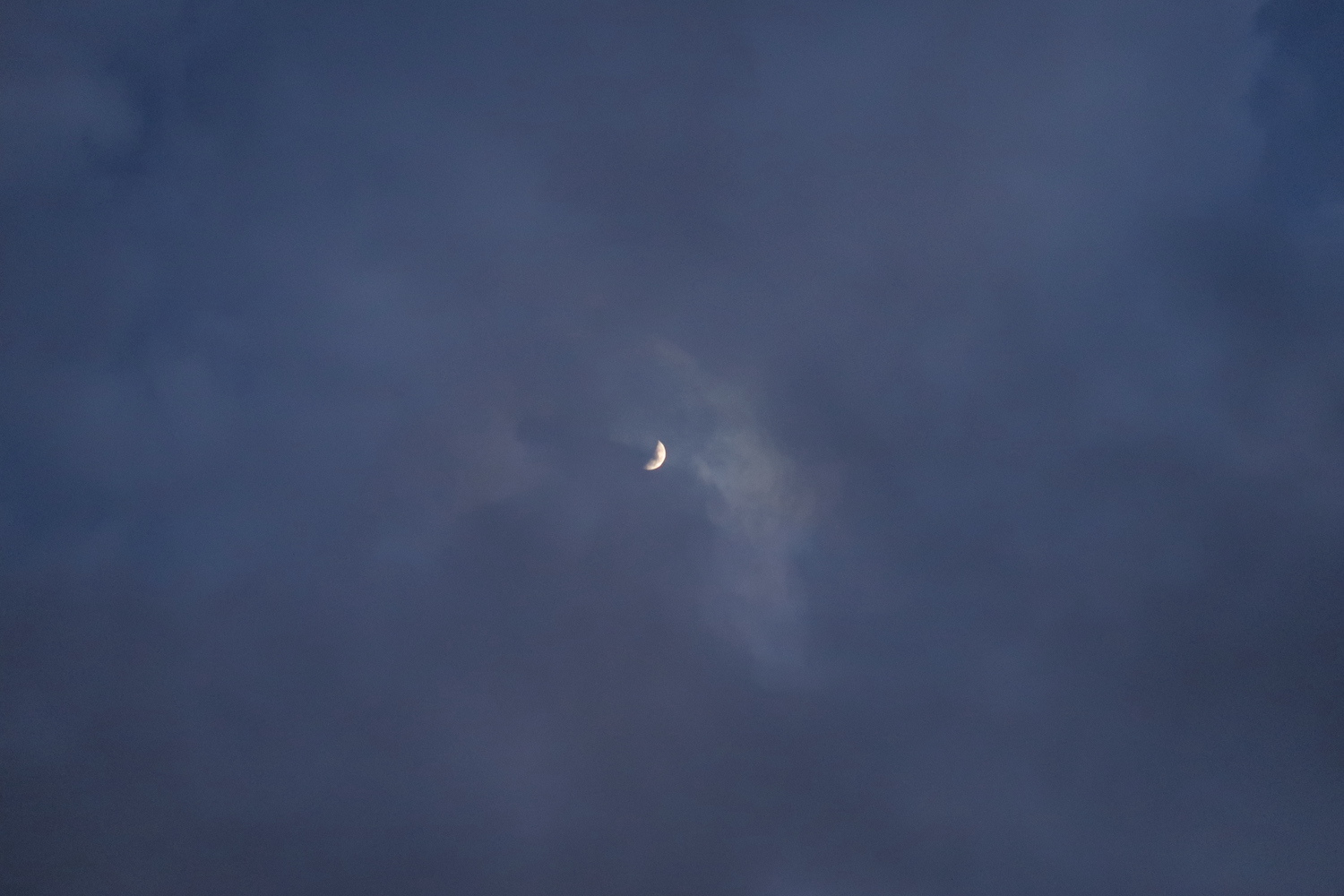 満ちる月夕どきの雲と咲きゆく蘭_f0234936_02314993.jpg