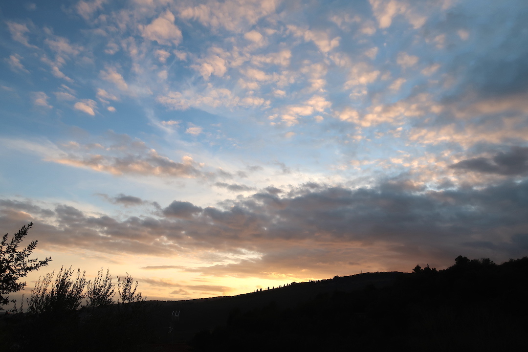 満ちる月夕どきの雲と咲きゆく蘭_f0234936_02352912.jpg