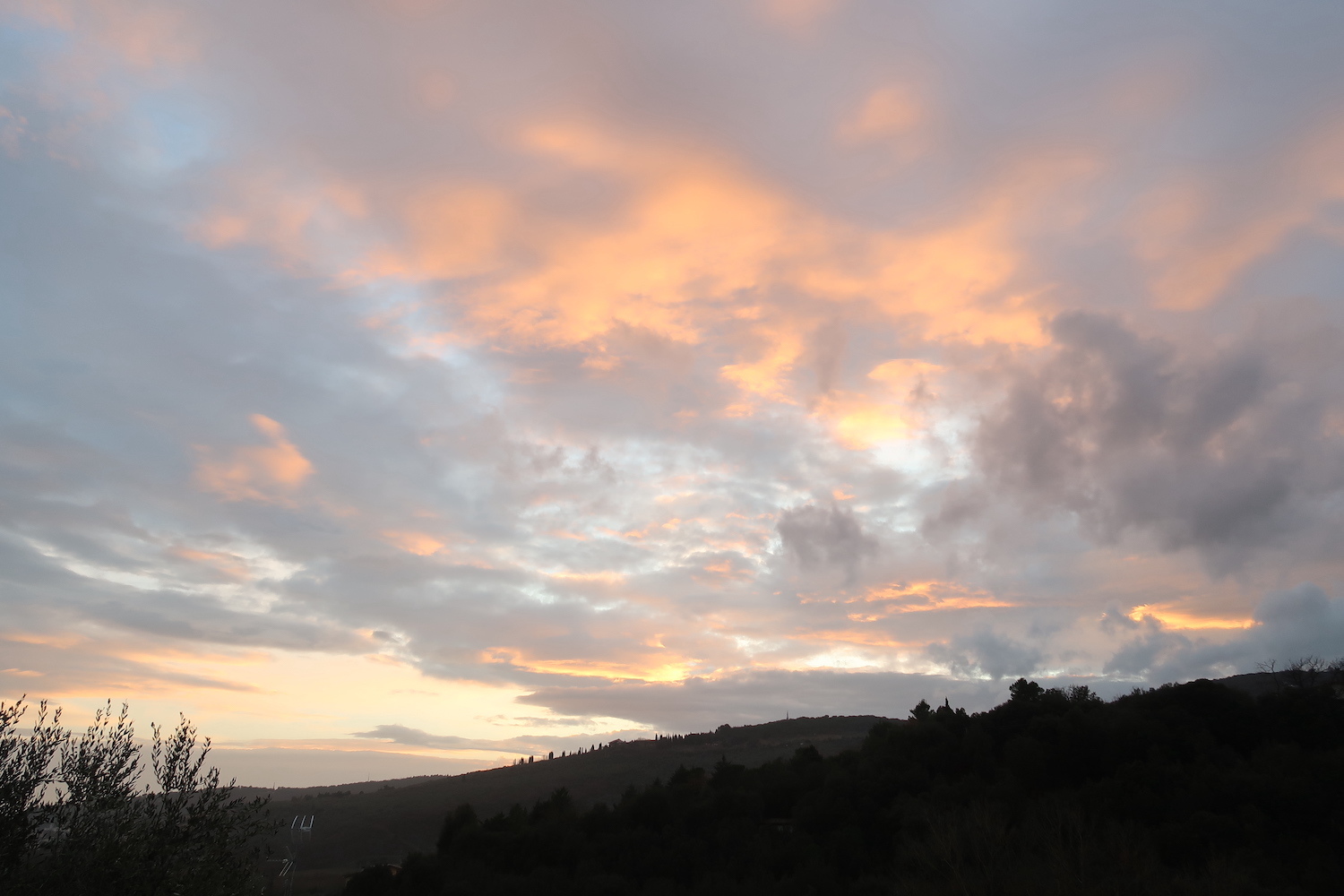 満ちる月夕どきの雲と咲きゆく蘭_f0234936_02435848.jpg