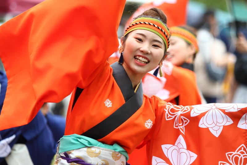 こうち南フェス2019 祭屋-Saiya-よさこい踊り子隊 その1_a0077663_18500960.jpg