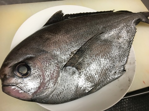シマガツオ 縞鰹 エチオピア イル レオーネ 千林大宮駅近くのシェフソムリエのブログ