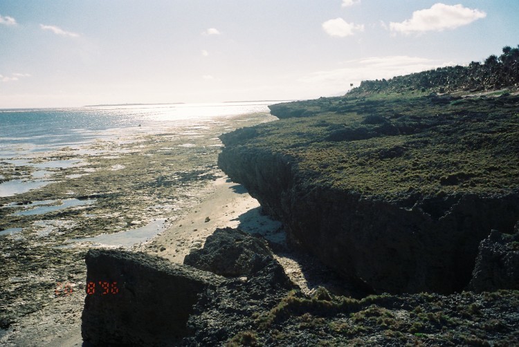 1996/8/17-27：八重山・与那国島めぐり回想のサンゴと海（さすがに今とは全然違う雰囲気）（１）波照間島・黒島_b0116271_13324132.jpg