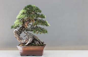 驚愕!「朗報です!」現在キツイ仕事に就いている方にとても良い話とは! #158_b0225081_19160418.jpg