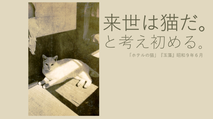 全館猫尽くしを楽しむ10の方法 その7_b0134195_16225364.png