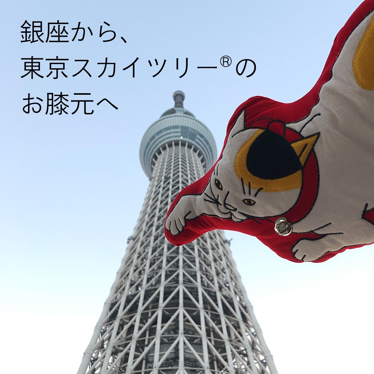 京東都 Blog 京東都 Blog