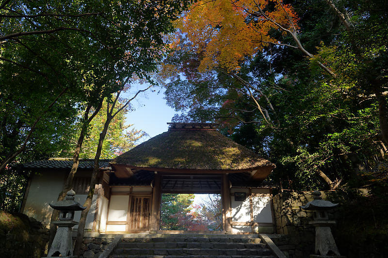 2020京都の紅葉・鹿ヶ谷 法然院_f0032011_16012147.jpg