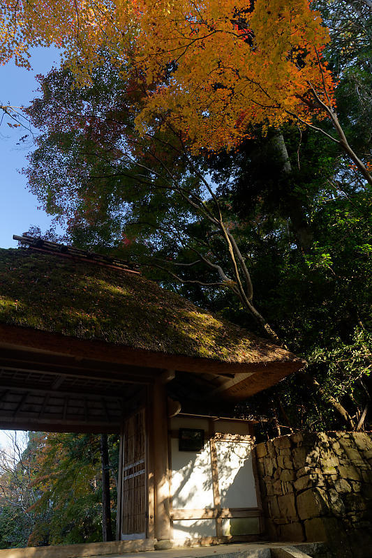 2020京都の紅葉・鹿ヶ谷 法然院_f0032011_16012161.jpg