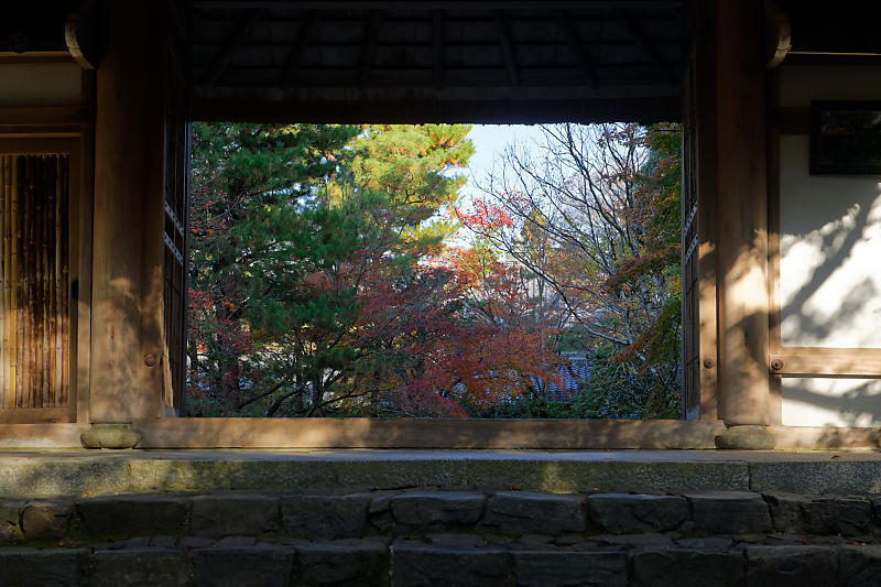 2020京都の紅葉・鹿ヶ谷 法然院_f0032011_16012198.jpg