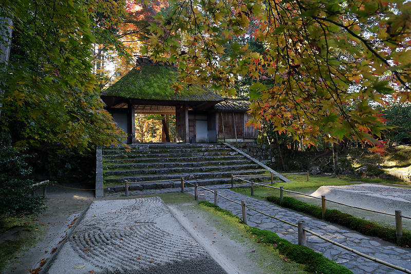 2020京都の紅葉・鹿ヶ谷 法然院_f0032011_16012264.jpg