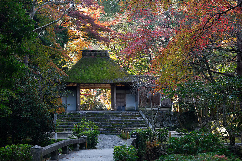 2020京都の紅葉・鹿ヶ谷 法然院_f0032011_16051801.jpg
