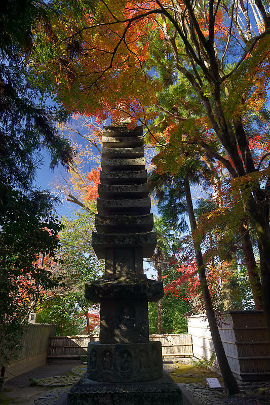 2020京都の紅葉・鹿ヶ谷 法然院_f0032011_16051846.jpg