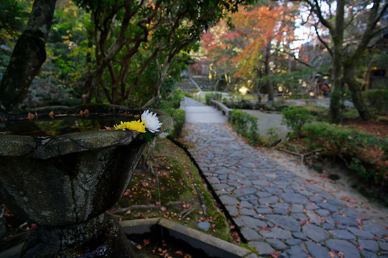 2020京都の紅葉・鹿ヶ谷 法然院_f0032011_16054124.jpg