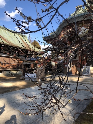 北野さんへ_a0197730_21535250.jpeg