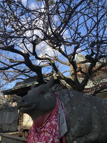 北野さんへ_a0197730_21542703.jpeg