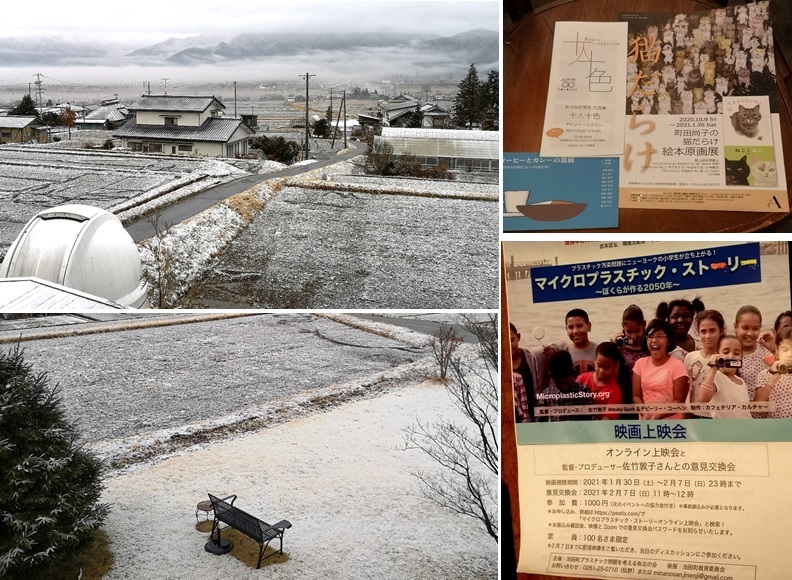 一面の雪というよりは_a0212730_18093492.jpg