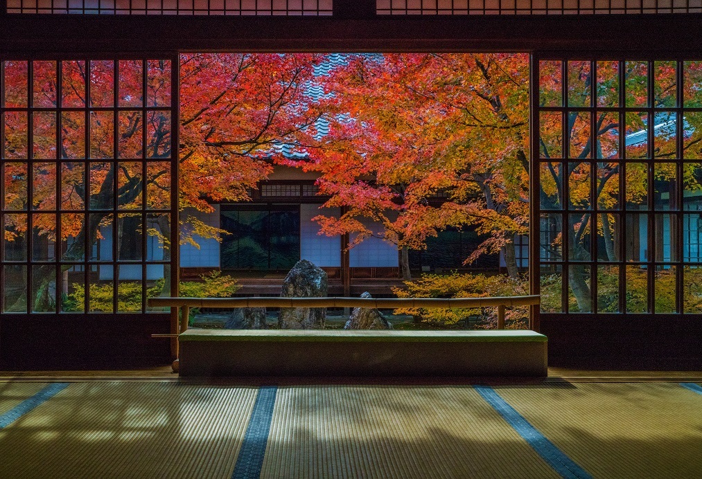 2020京都紅葉～建仁寺（final）_e0363038_22315978.jpg