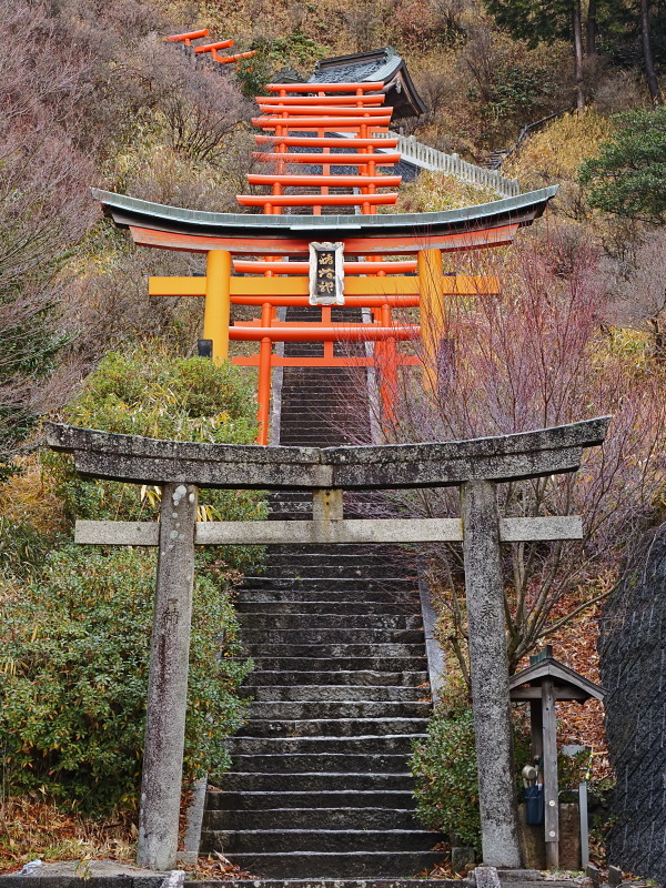 獅子崎稲荷神社 京都府 Ty44 四季の写真